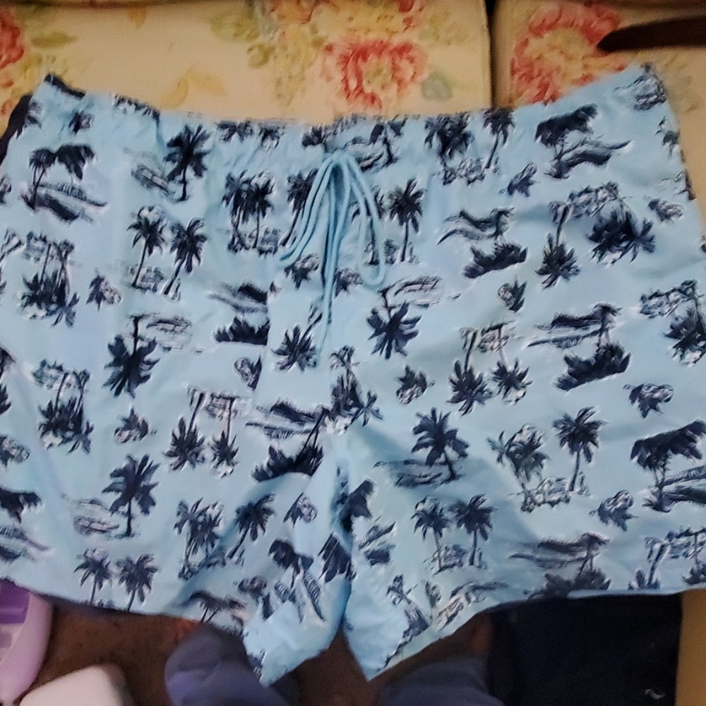 2 Swim trunks - Picture 2 of 2